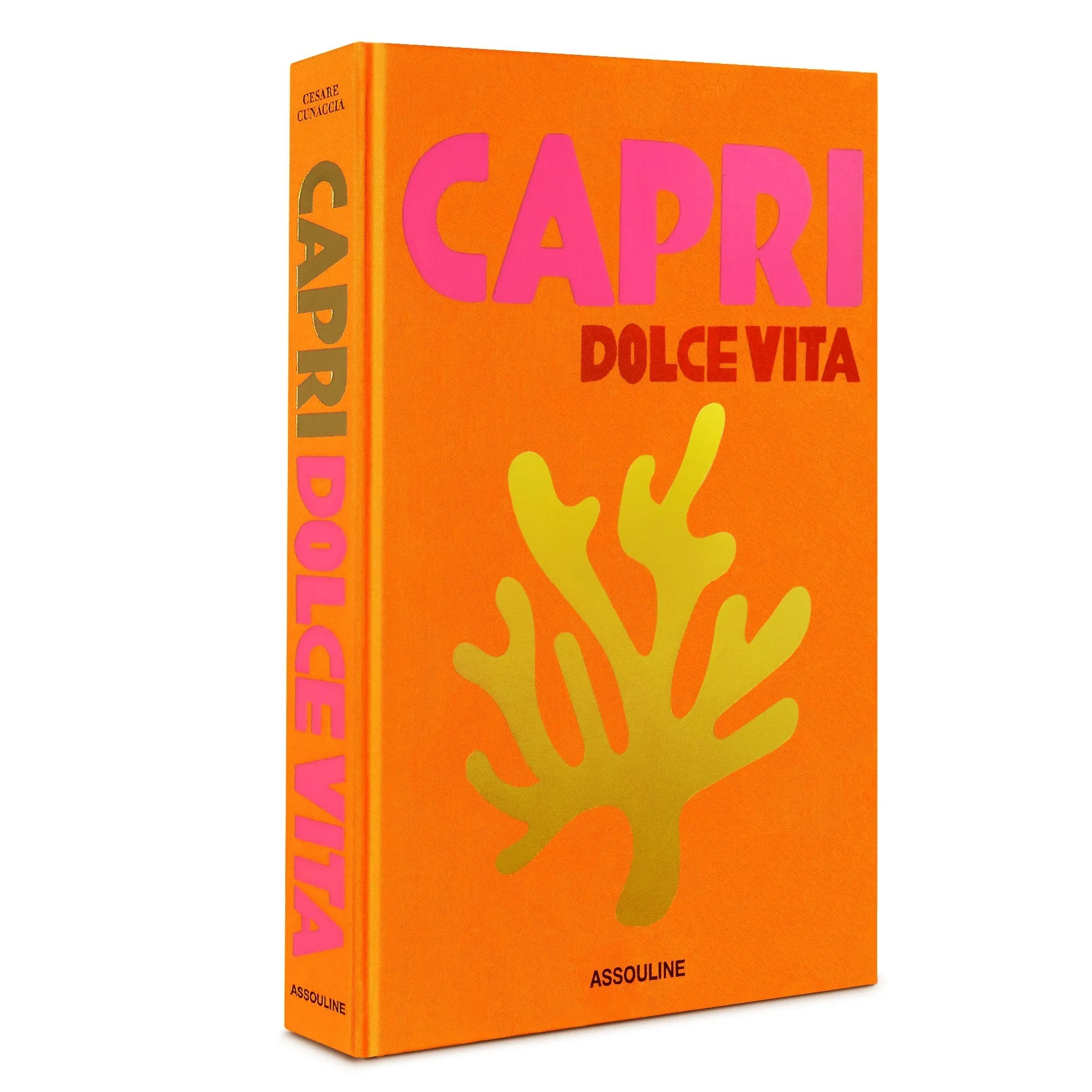 ASSOULINE Capri Dolce Vita Hardcover Book by Cesare Cunaccia