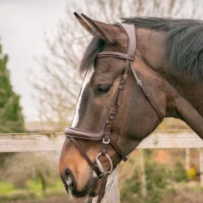 GS Equestrian Deluxe Ergonomic Flash Bridle